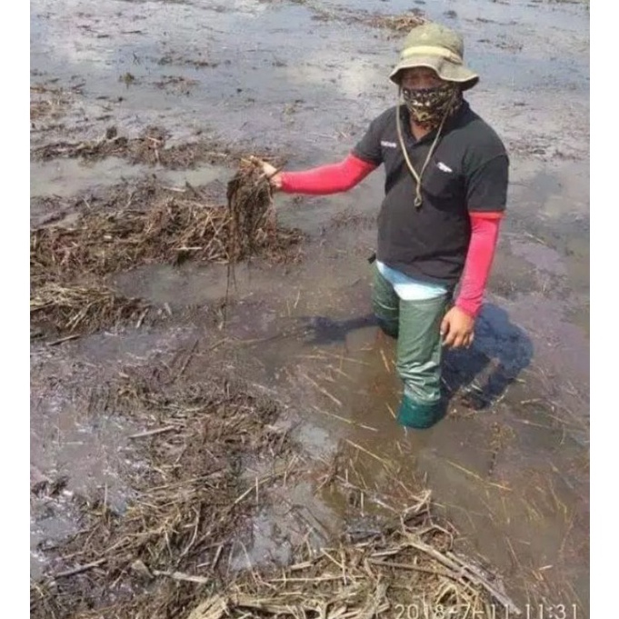 LANGSUNG KIRIM bayar di tempatSEPATU SAWAH SEPATU PETANI PANJANG BERKWALITAS BOOT SAWAH BOOTS PERTAN