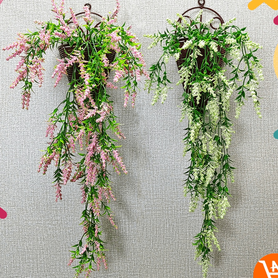 Dijamin Ori Tanaman Hias Juntai Gantung Dekorasi Dinding Rumah Terkini Tanaman Bunga Hias Juntai Pal