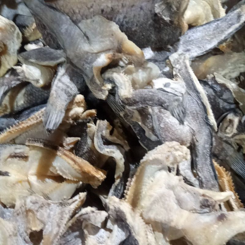 

gabus per 1kg