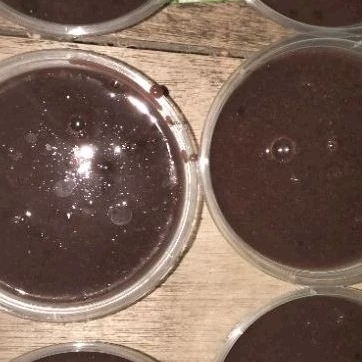 

puding coklat oreo