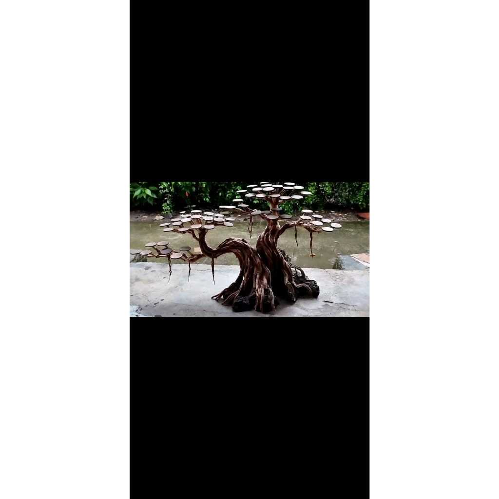 Bonsai Jumbo besar Aquascape/Aquarium Ukuran Besar