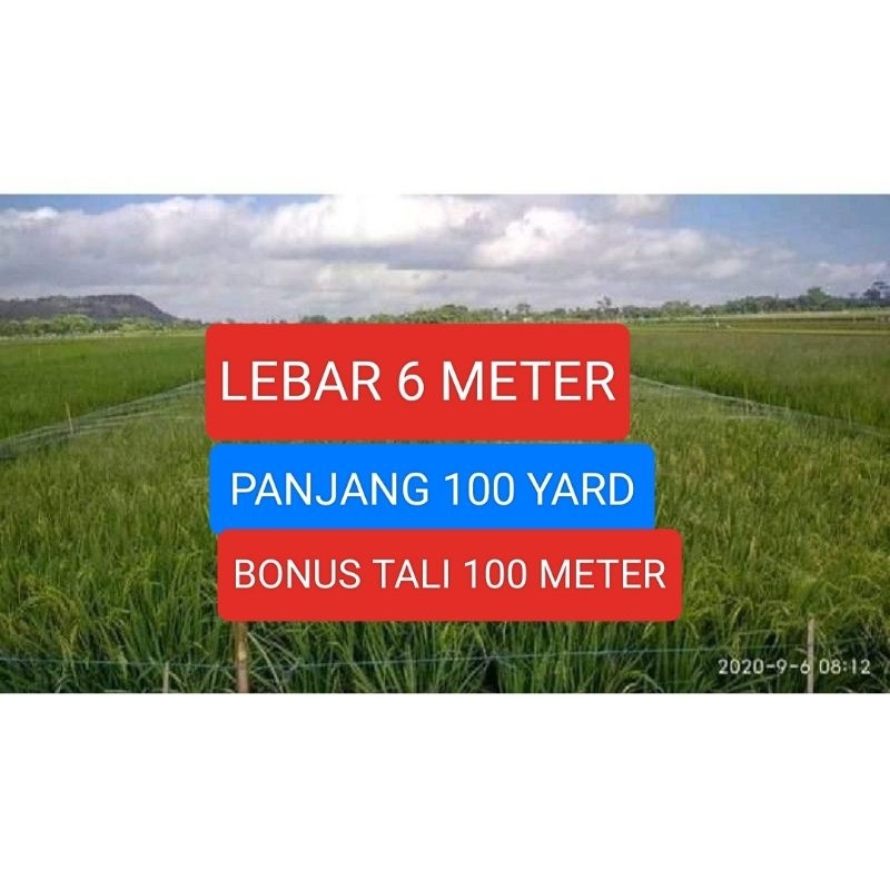 Jaring burung sawah 6mx100yds BONUS TALI jaring burung sawah, jaring padi, jaring burung empit, jari