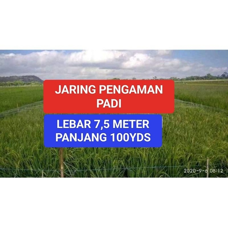 JARING BURUNG PADI SAWAH 7,5mx100yds jaring sawah burung pipit jaring padi jaring burung murah