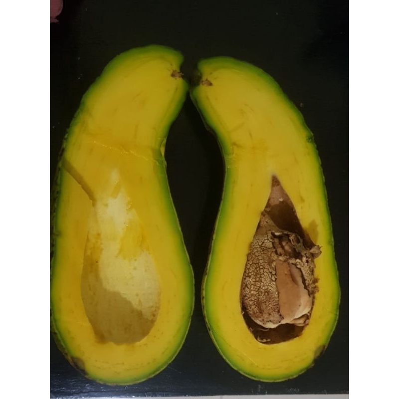 

Alpukat Mentega