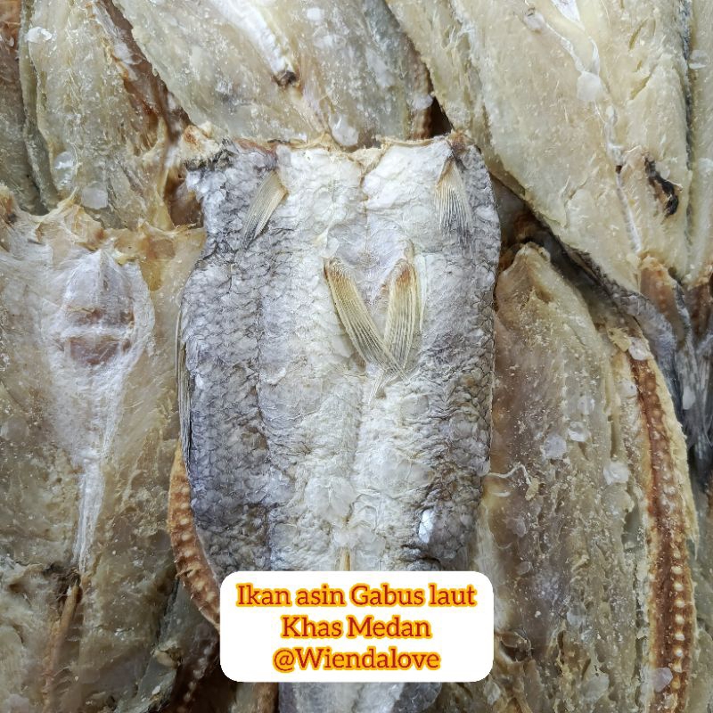 

Ikan Gabus laut khas Medan 1 kg by Wiendalove
