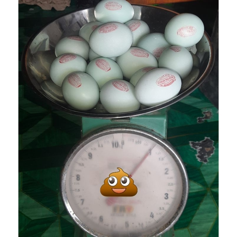 

Telur Asin Isi 15 biji