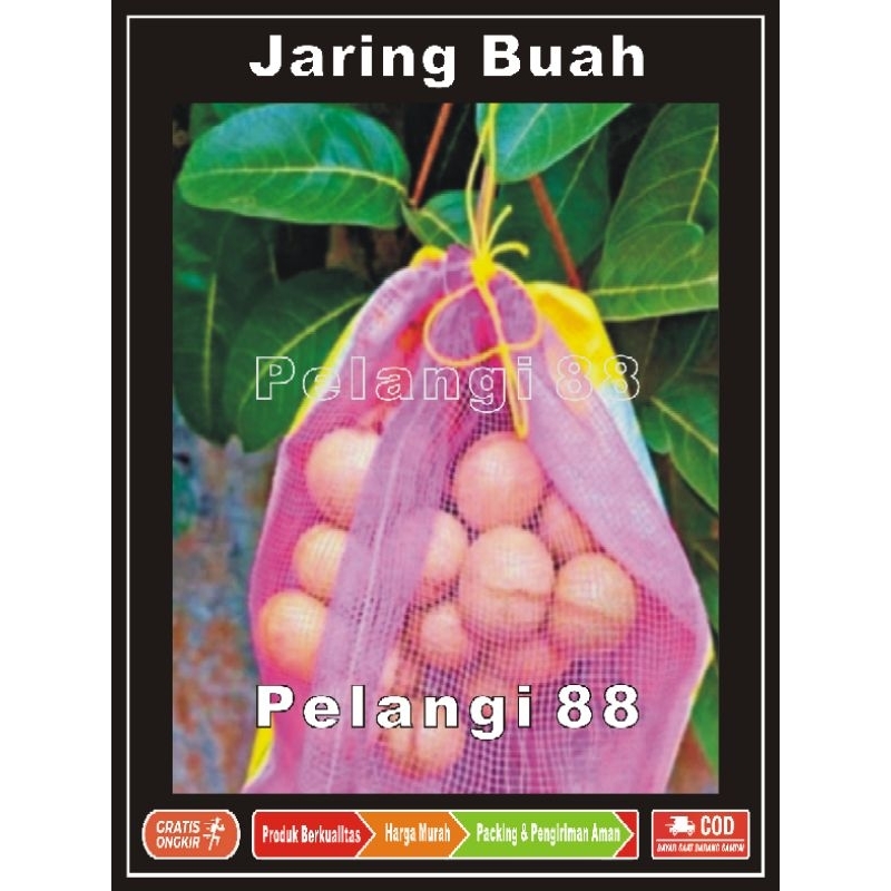 Jaring Buah Baru , Keranjang Pembungkus Buah , Fruits Cover , Brongsong Kelengkeng