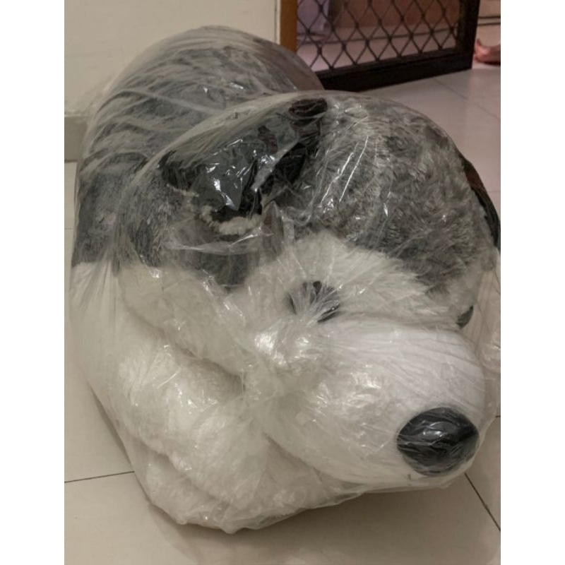 Boneka Husky Istana Boneka