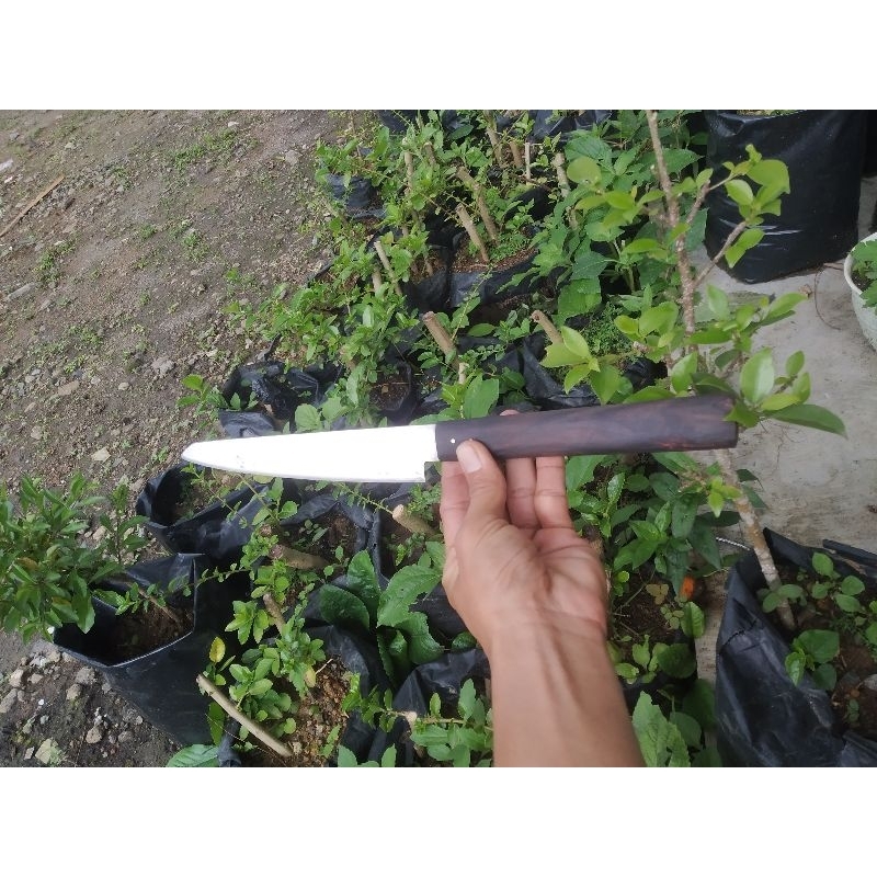 pisau gyuto/Pisau Dapur/Pisau baja
