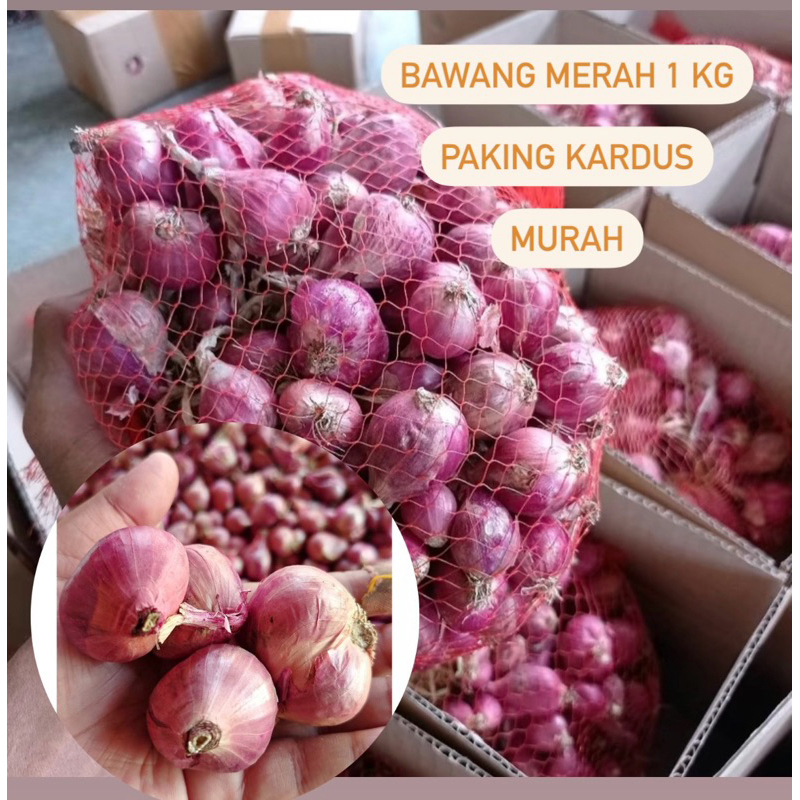 

Bawang Merah 1 kg Paking Kardus Murah