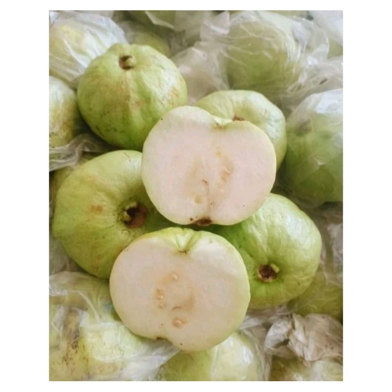 

Jambu Kristal Guava Fresh 1 Kg