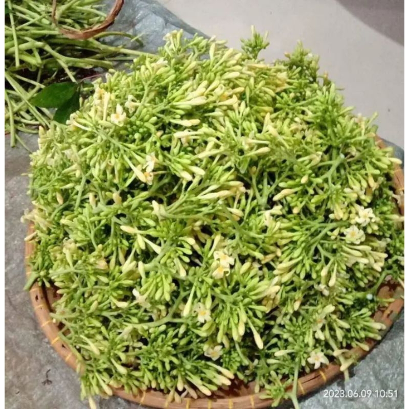 

(termurah) bunga peyaya/bunga kates/bunga gandul pepaya jantan herbal press (500gr)