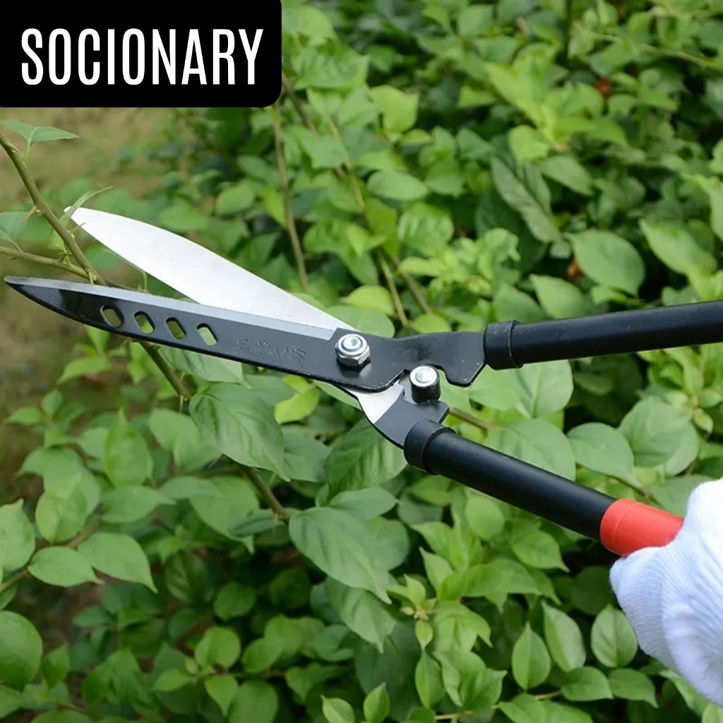 Gunting Rumput Pemotong Dahan Pohon Baja Berkualitas