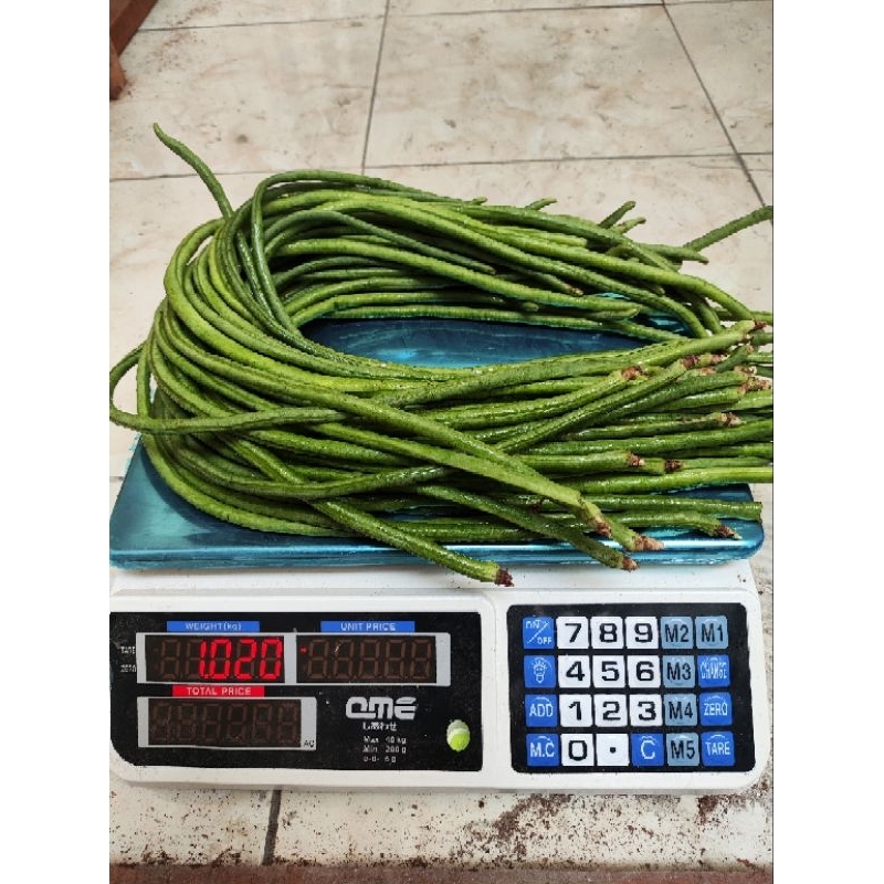 

Kacang panjang segar dan fresh kiloan / 500 gram