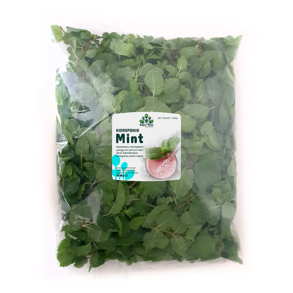 

SAYUR MINI Hidroponik Daun Mint 250gr - Fresh Cut - Hydroponics