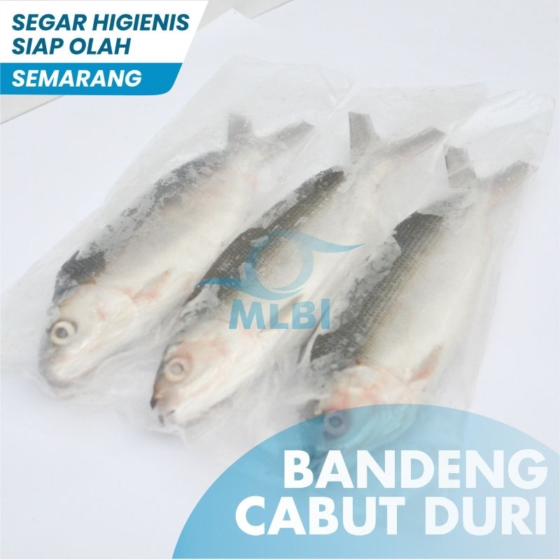 

Bandeng Cabut Duri Semarang