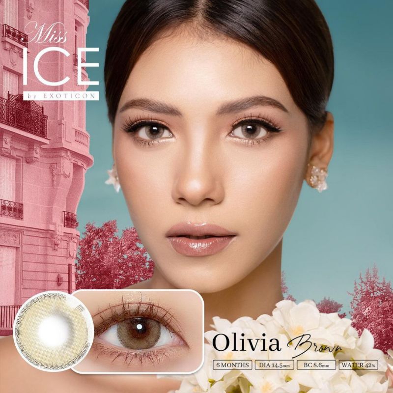 Miss Ice Olivia Brown normal minus s/d -6.00 Softlens 14.5 mm