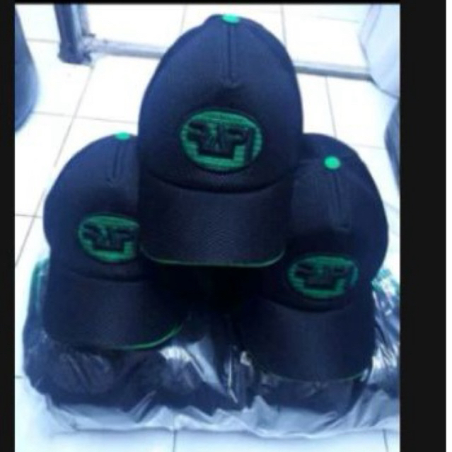 topi logo rapi/topi rapi