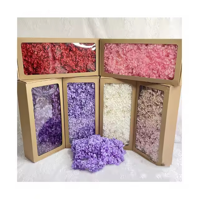 preserved hydrangea / dried hydrangea / dried flower / bunga kering box