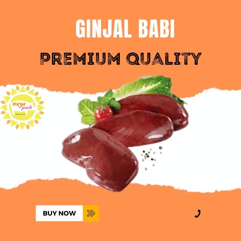 

GINJAL BABI