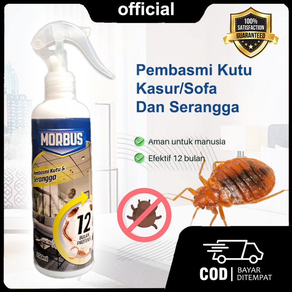 Morbus Semprotan Pembasmi Kutu Kasur, Kutu Busuk & Tumila Ampuh 100%
