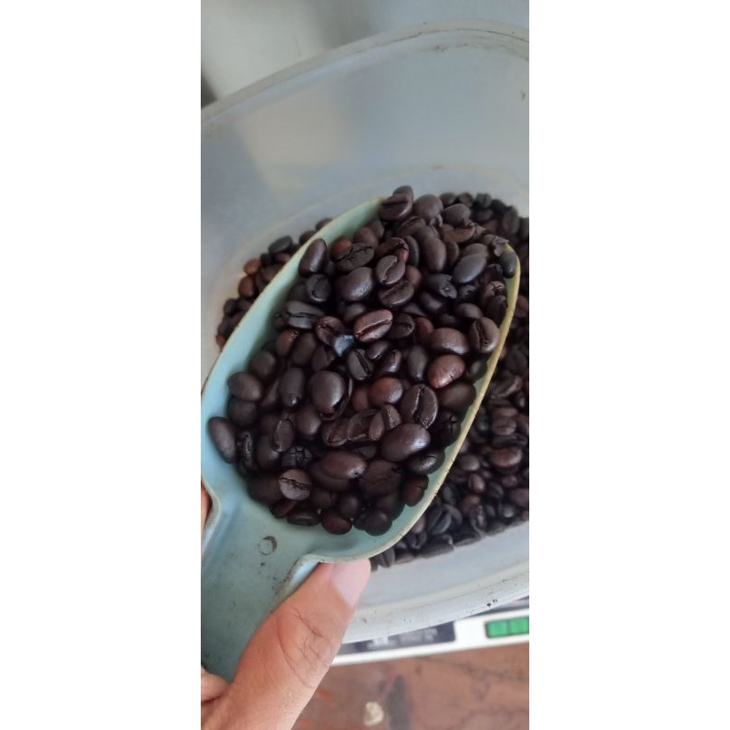 

Biji Kopi Robusta 500 Gr