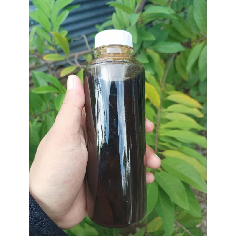 

Madu Hitam