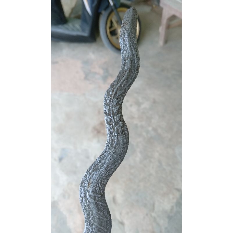 putut kembar/homyang jimbe sepuh