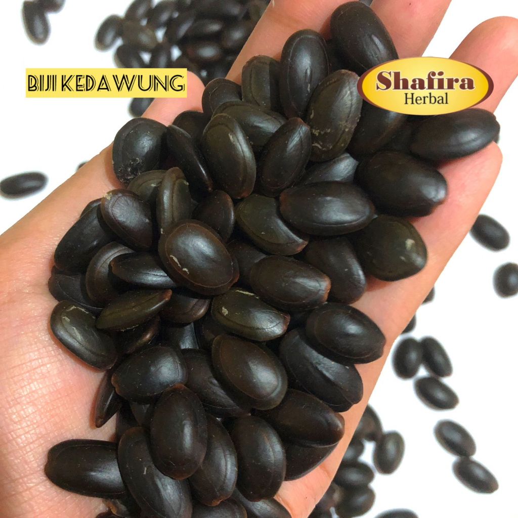 

Biji Kedawung Premium Herbal 1 kg & 500 gr