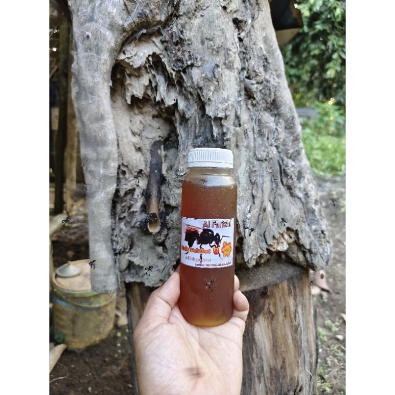 

madu klenceng/ madu kelulut 250 ml