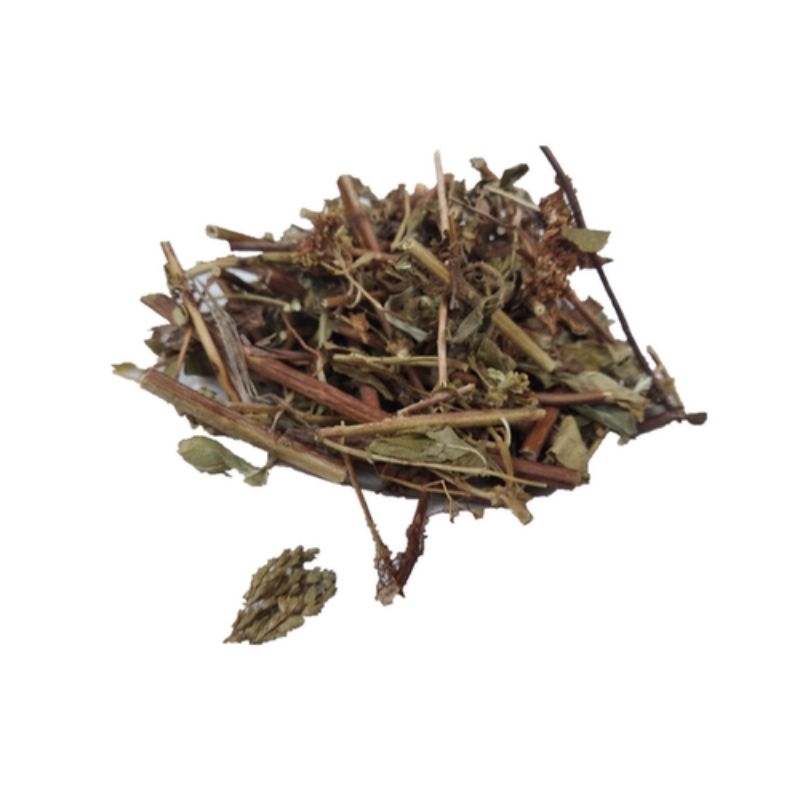 

100g Herbal Lv Yin Chen/Tu Yin Chen 绿茵陳 土茵陈 Oregano Herb Herba Origani