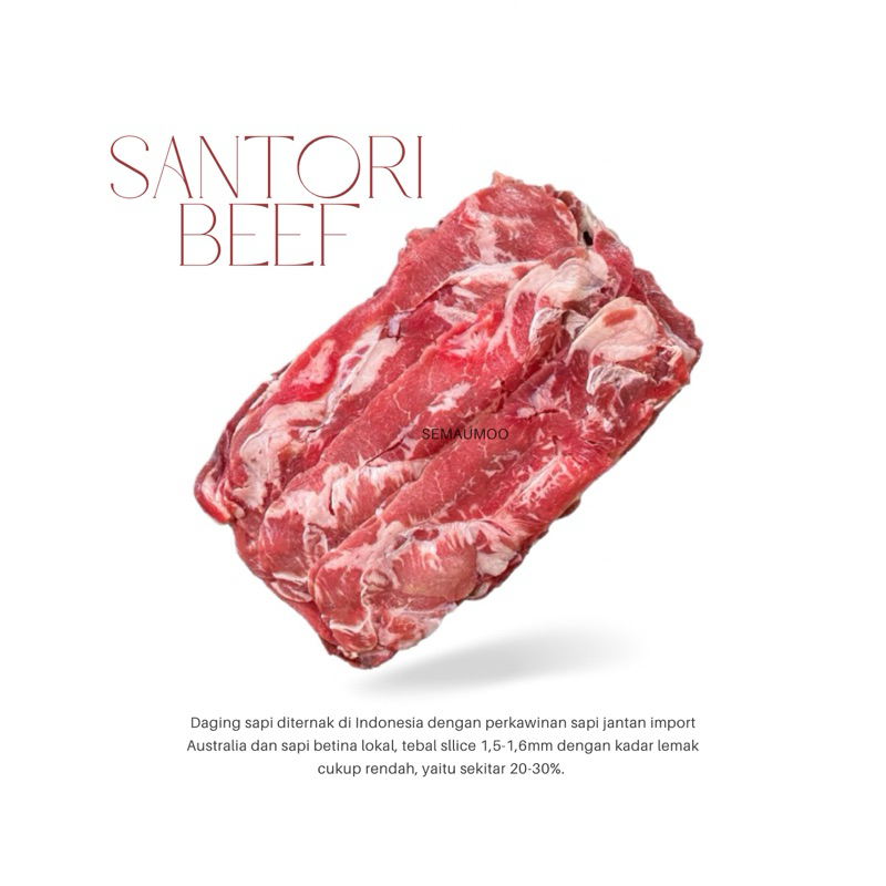 

SANTORI TOKUSEN Beef Slice / Daging Sapi Iris Santori 500gr