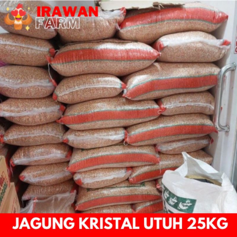 JAGUNG KRISTAL UTUH 25KG