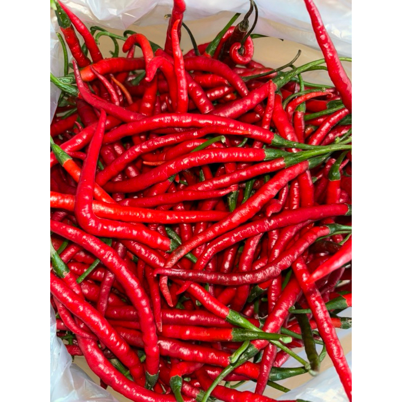 

Cabe Keriting Super 500gr