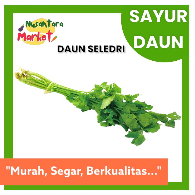 

DAUN SELEDRI | 50 GR | NUSANTARA MARKET