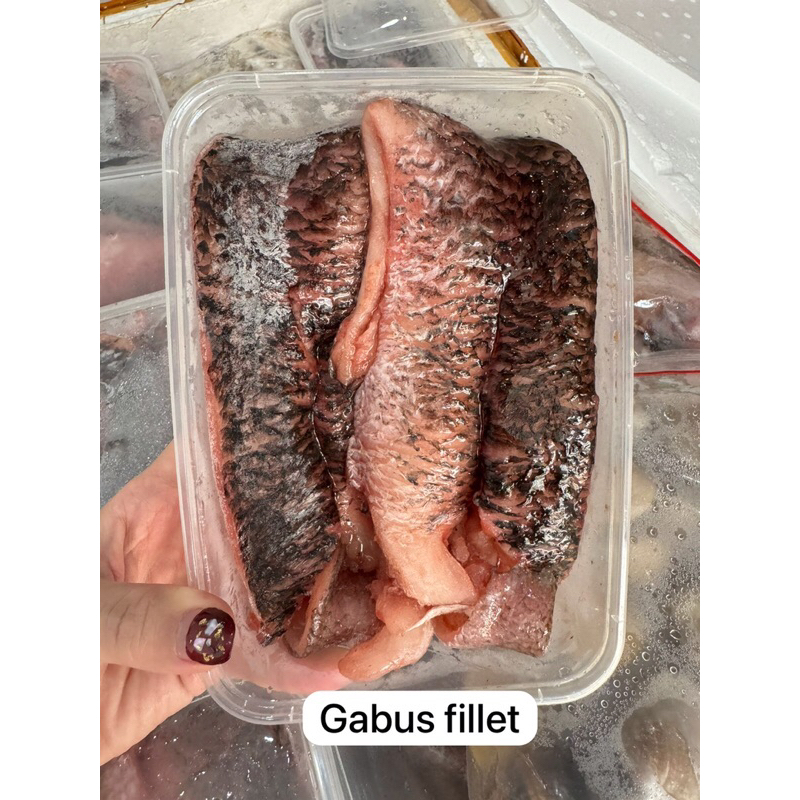 

gabus fillet