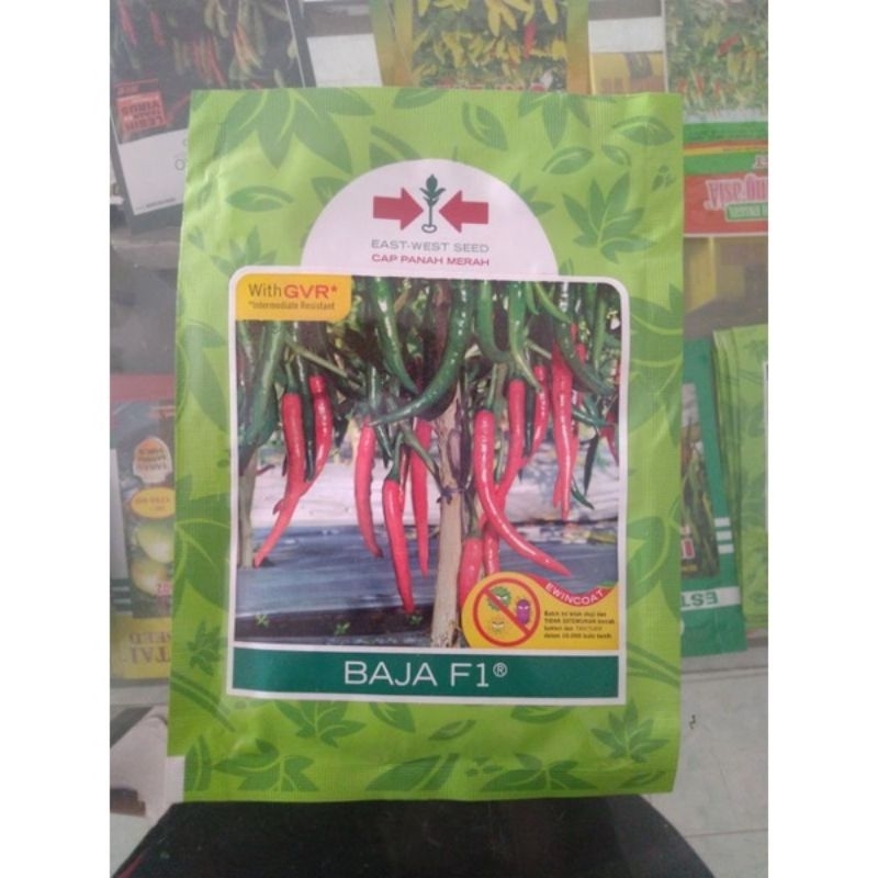Benih bibit Cabe merah Besar BAJA F1 1500 butir original