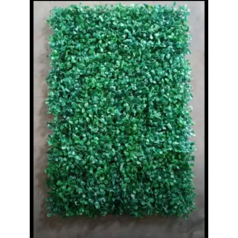 DAUN DOLAR SINTETIS DAUN DOLAR PALSU