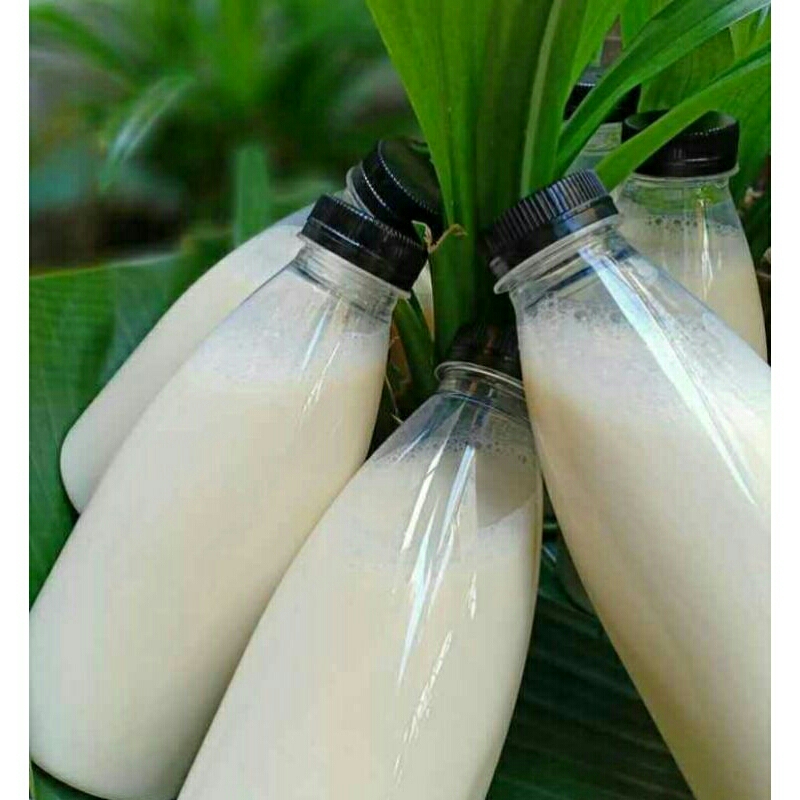 

Kacangkedelai