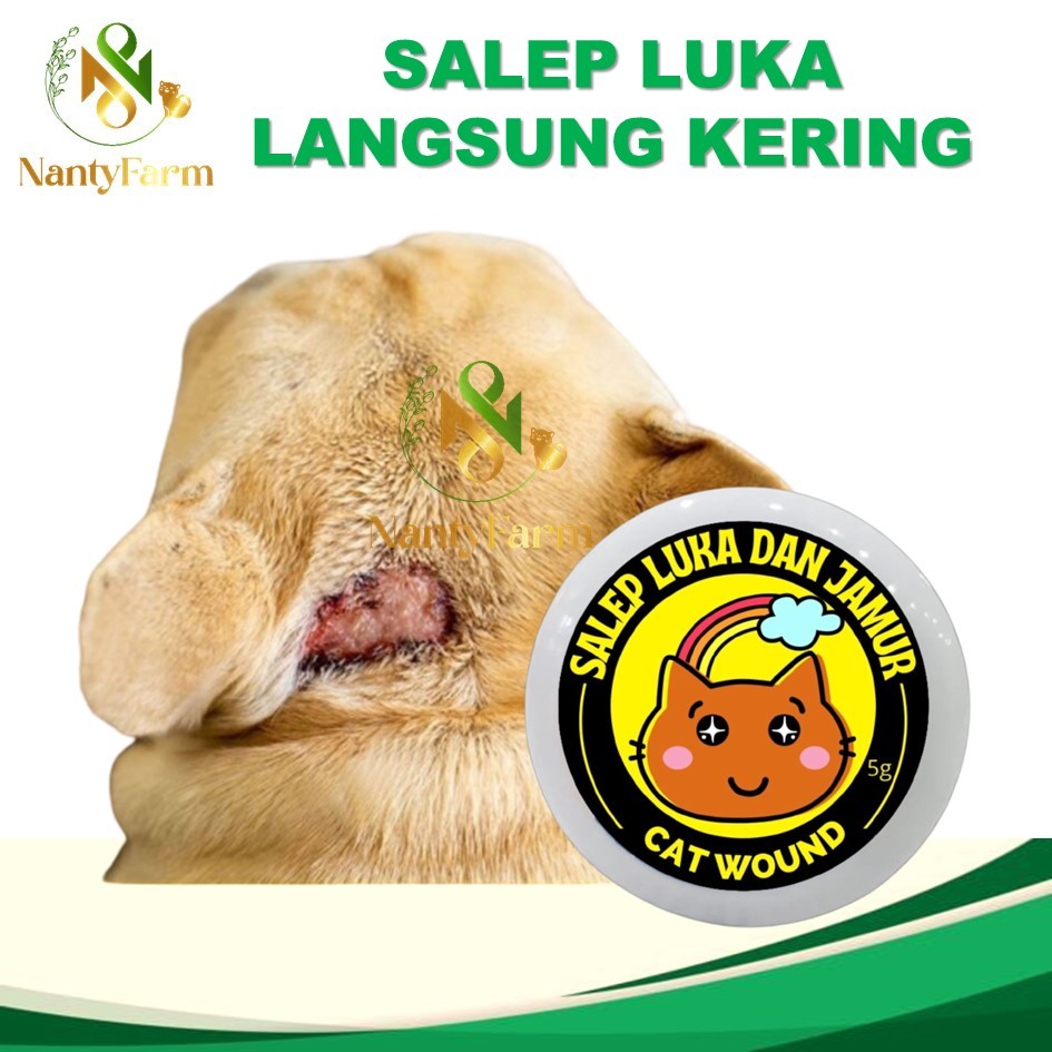 Salep Luka dan Jamur Kucing Anjing Cat Wound Aman Terjilat