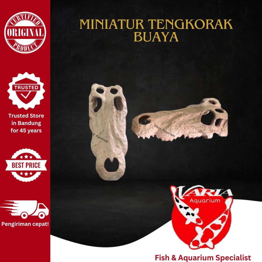 Miniatur Fiber Tengkorak Buaya - Hiasan Aquarium Aquascape Tengkorak
