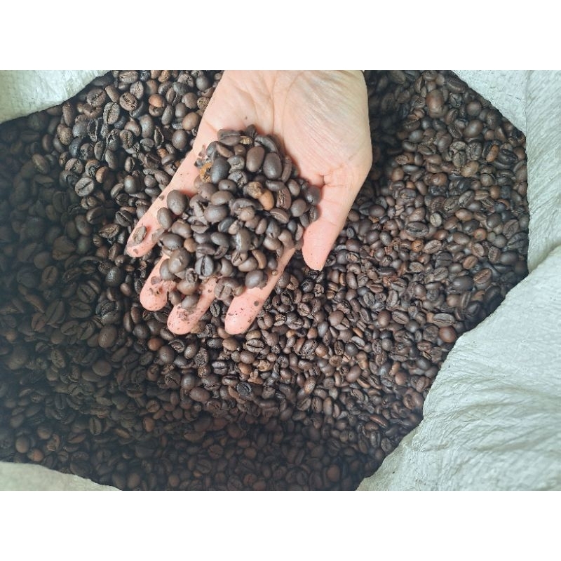 

bijikopiroasting