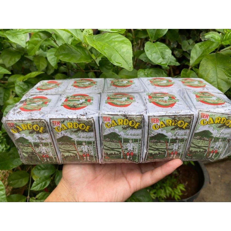 

TEH TUBRUK GARDOE HIJAU 40gr x 10 pcs | TEH TUBRUK INDONESIA