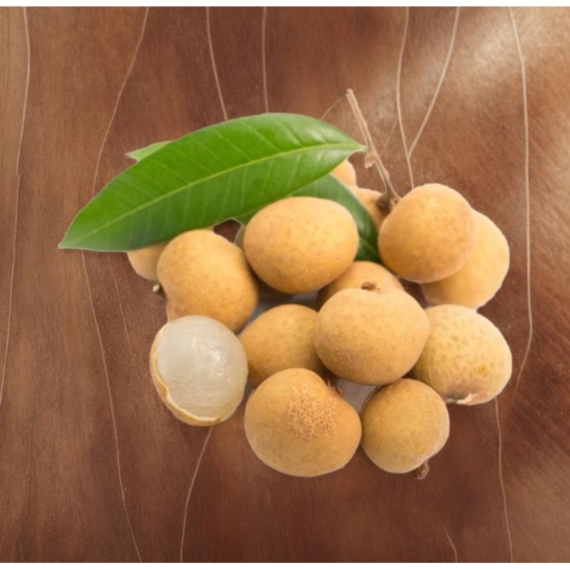 

Lengkeng Bangkok premium import