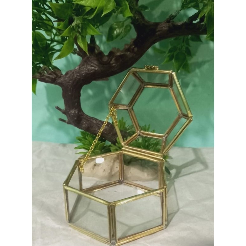 

RING BOX TERRARIUM HEXAGON (KURA") MINI