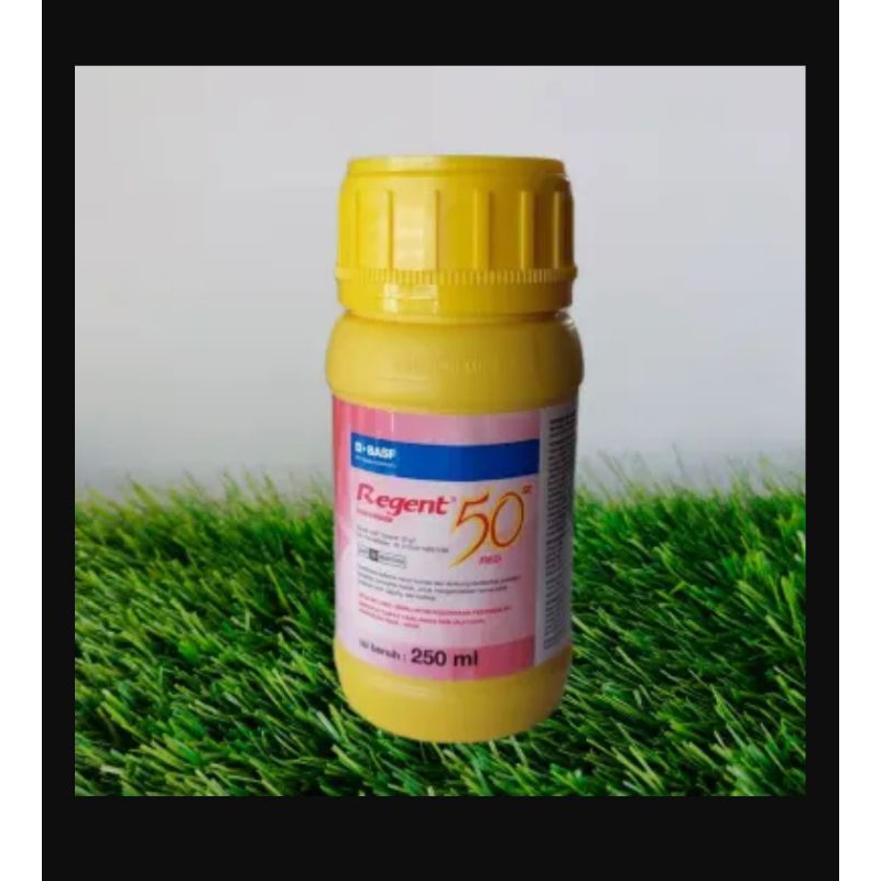 Regent Red (Regen merah 100 ml)