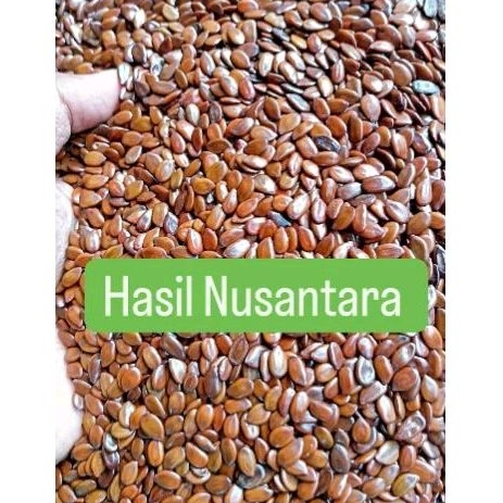 

BIJI LAMTORO / PETAI CINA 1KG BERSIH TANPA JAMUR
