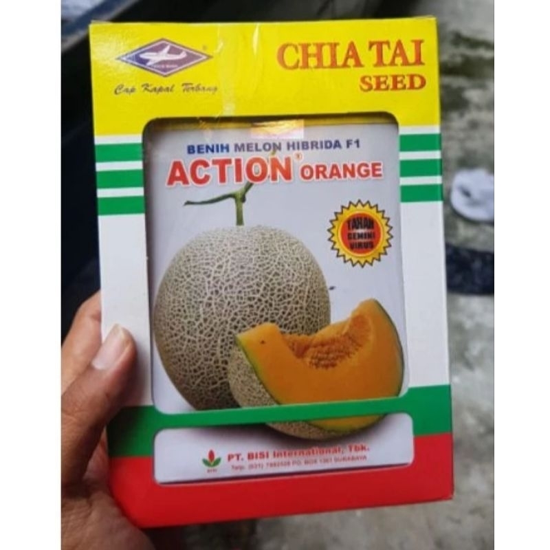 benih melon action orange -+550 biji