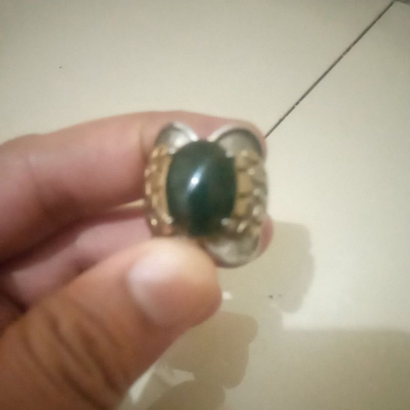 batu akik badar lumut