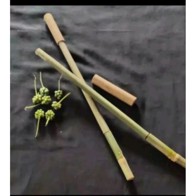 tembakan pletokan bambu